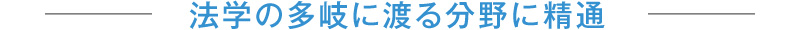 法学の多岐に渡る分野に精通