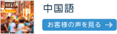 中国語
お客様の声を見る